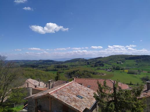 vue